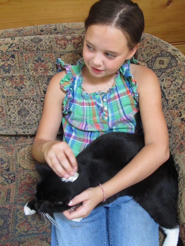 Our cat likes to be pet with an aluminum foil ball. 