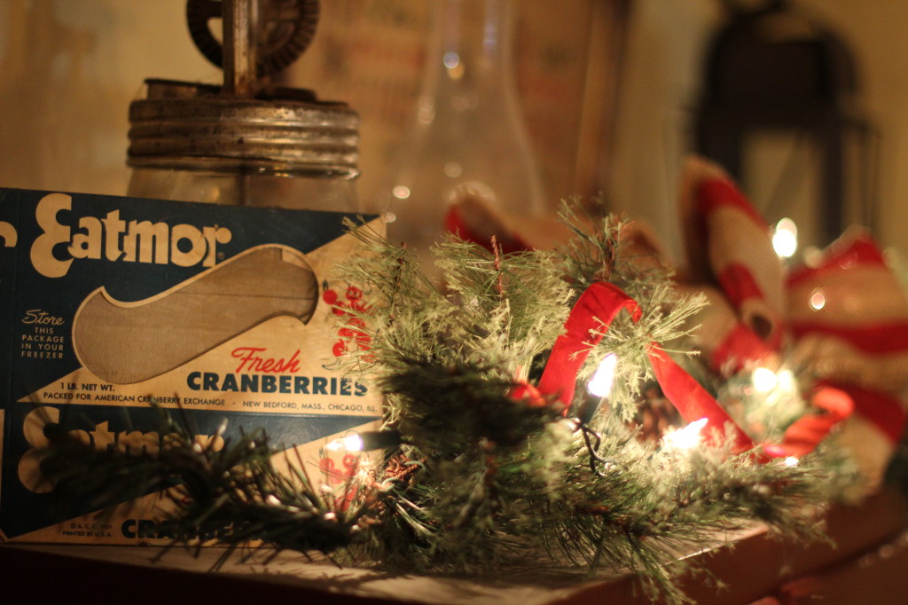 Vintage Eatmore Cranberry box. They use to sell berries in these.