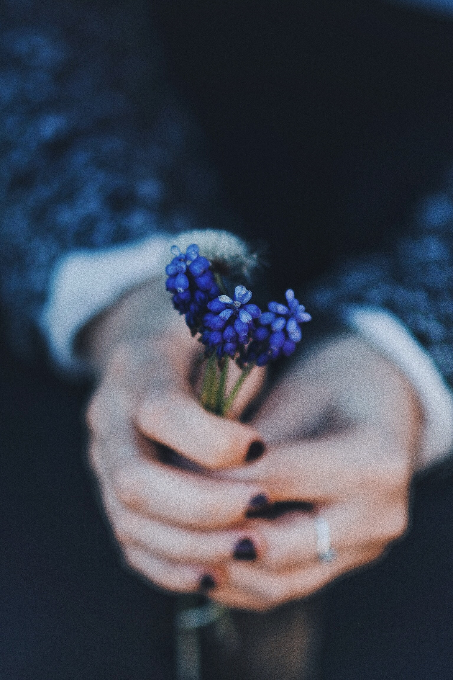 When limitations are meant to liberate you.